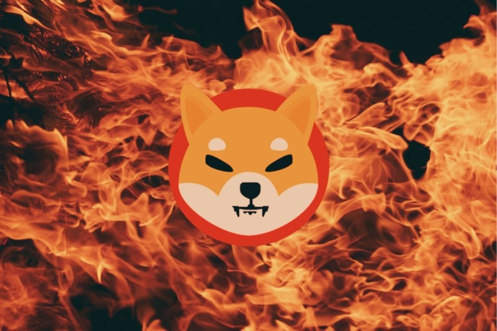 Shiba Inu Burn Rate Surge Above 11,000%, But SHIB Price Tells Another Story